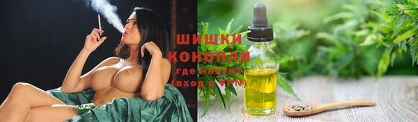 бошки Гусиноозёрск