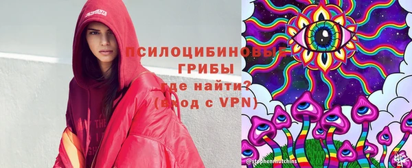 бошки Гусиноозёрск