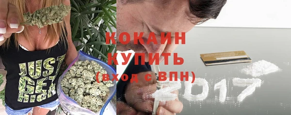 ALPHA-PVP Гусев